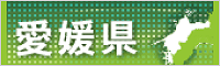 愛媛県