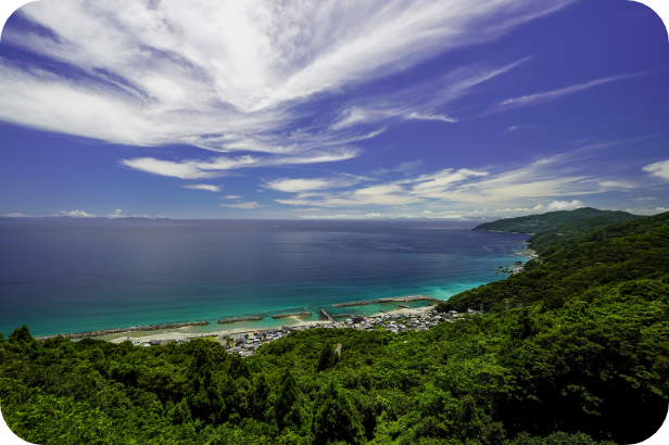 南予エリアの写真